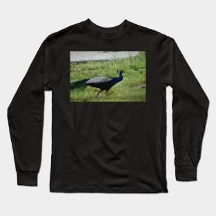 Peacock Long Sleeve T-Shirt